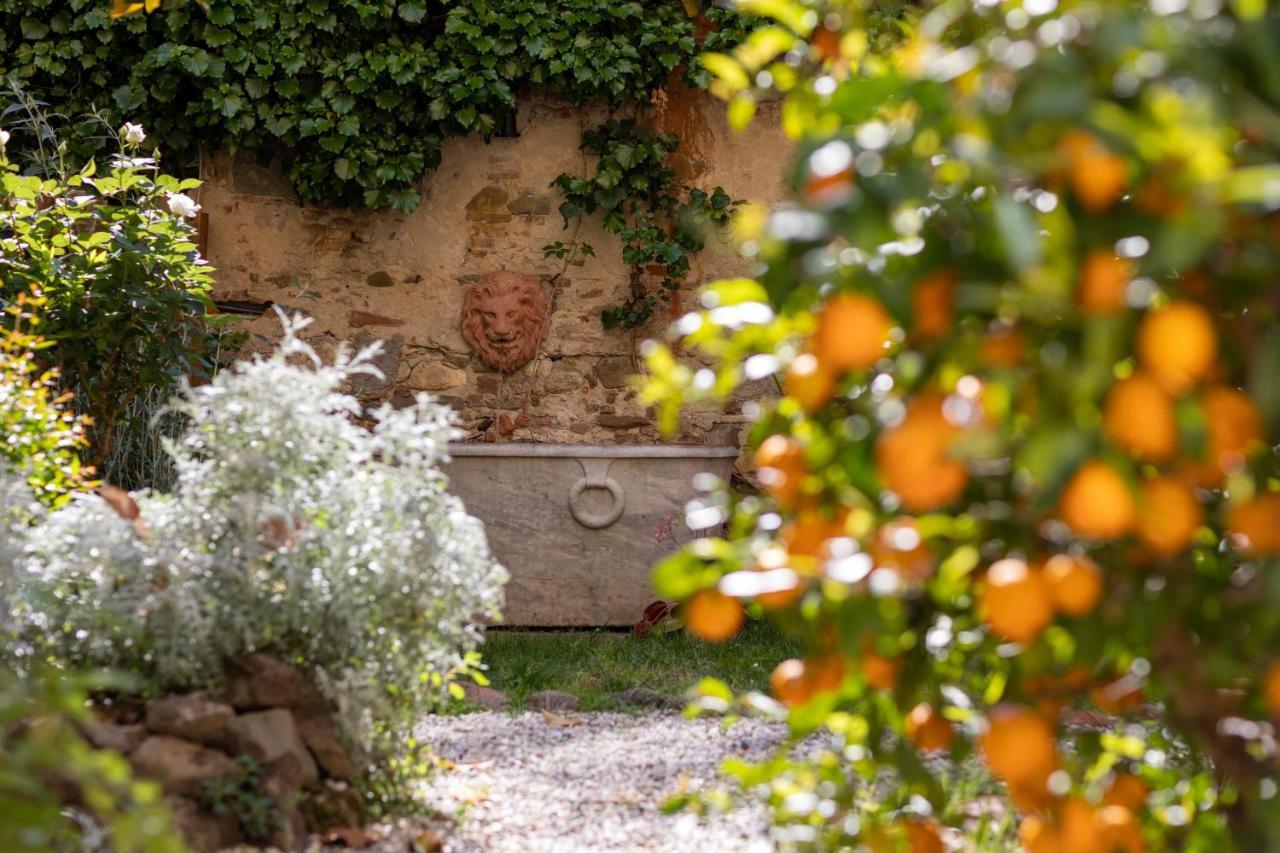 Bed and breakfast Secret Garden Firenze Florencia