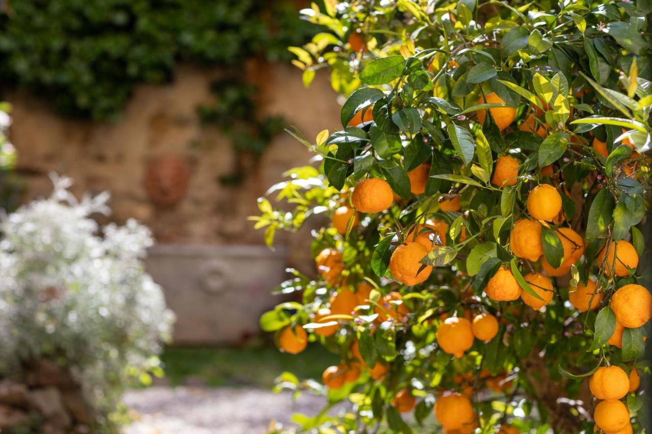 Secret Garden Firenze Bed and breakfast Florencia