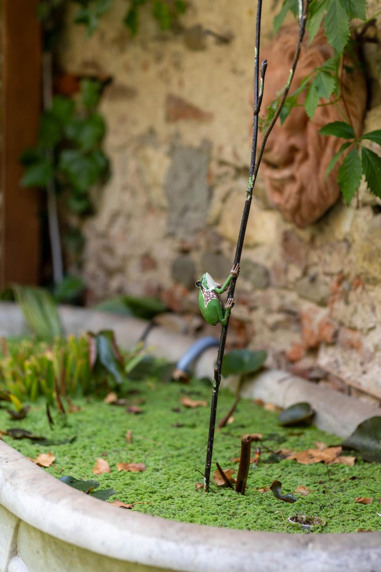 Secret Garden Firenze Bed and breakfast Florencia