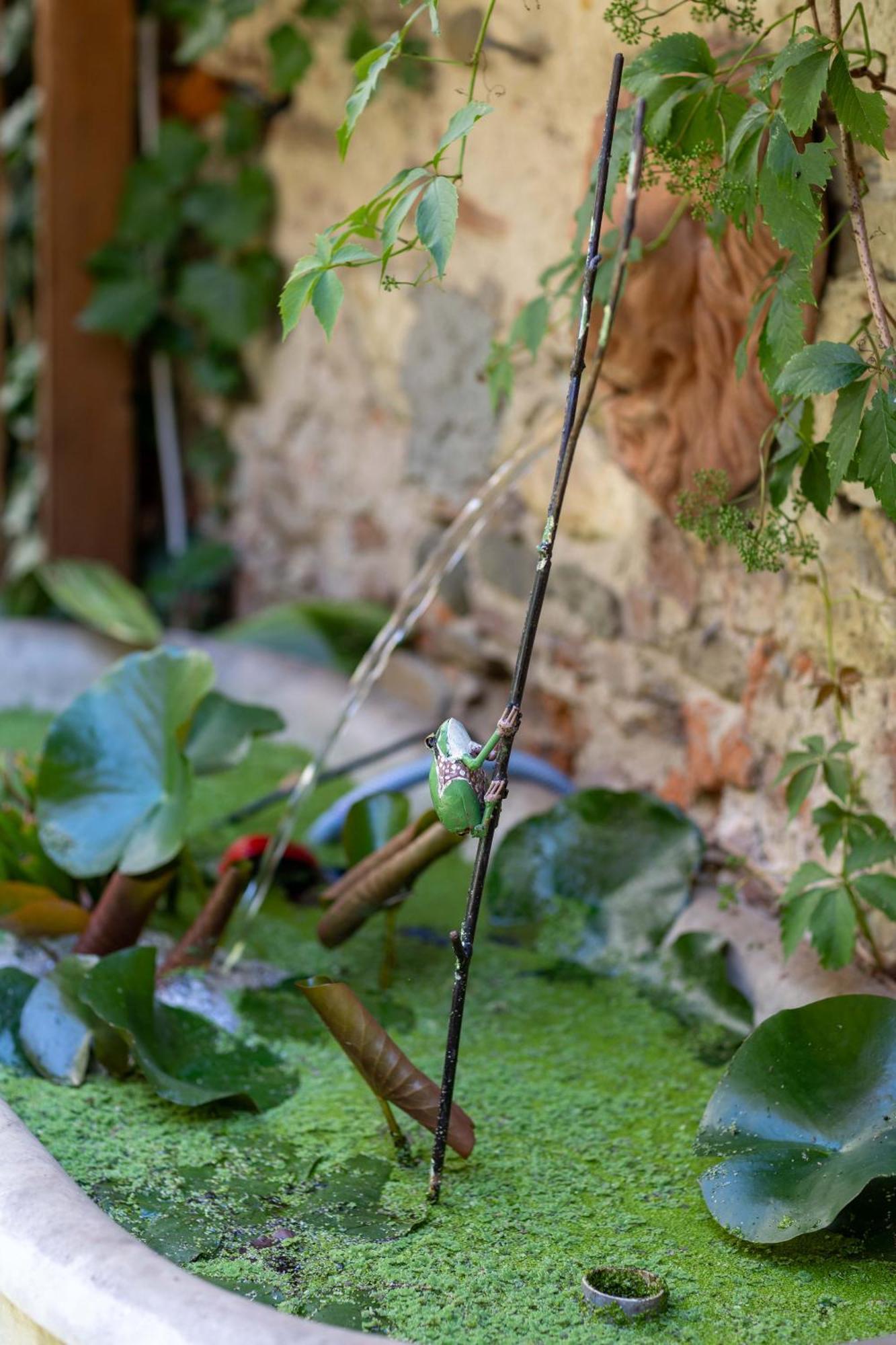 Secret Garden Firenze Bed and breakfast