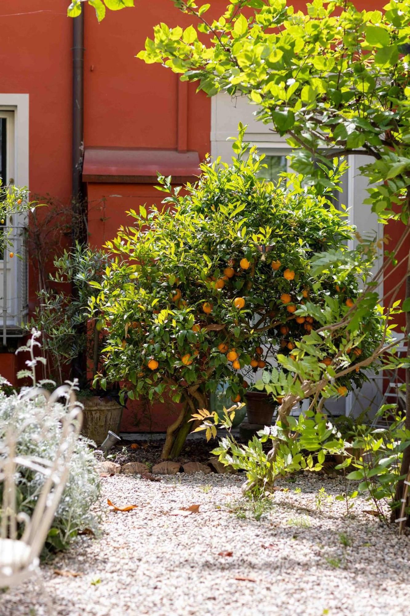 Secret Garden Firenze * Florencia